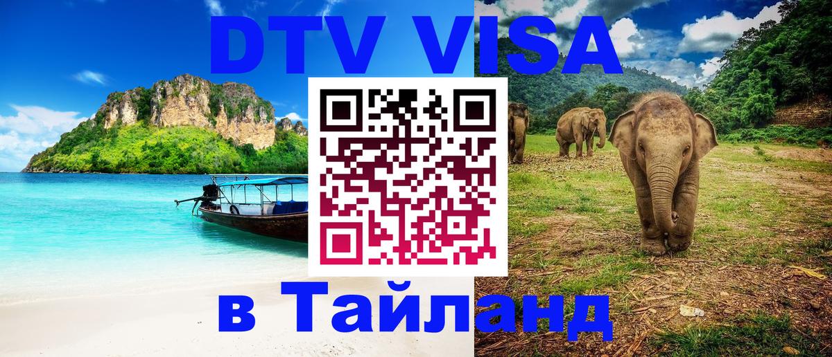 Сколько стоит DTV виза — актуальные цены, оформление даже без документов - Ставрополь  20.11.2025 